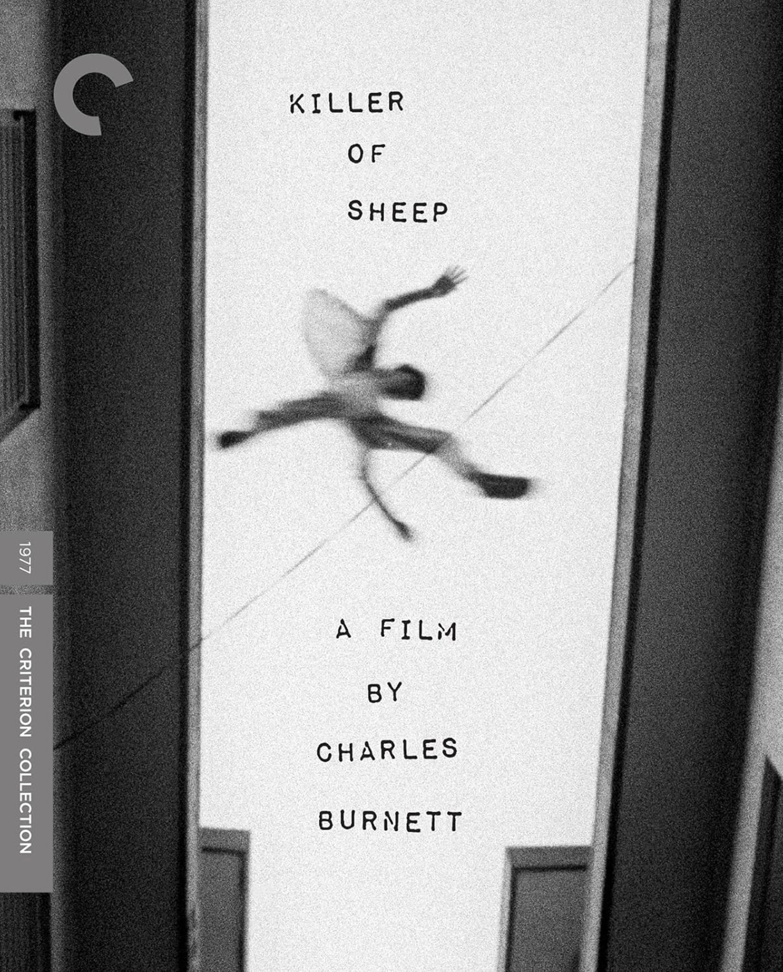 Criterion – The Rewind